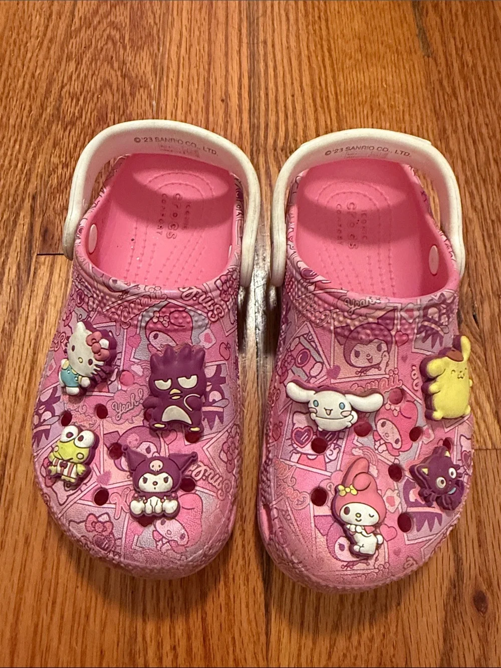 CROCS Kids Pink Character Slip-On Clogs with Backstrap